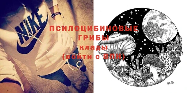 тгк Арсеньев